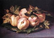 FIGINO, Giovanni Ambrogio Still-life with Peaches and Fig-leaves fdg Sweden oil painting reproduction